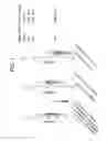Fig. 02 - Compositions and methods for treating pancreatic cancer