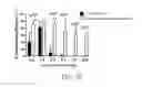 Fig. 09 - Cas9 plasmid, genome editing system and method of 