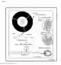 Fig. 02 - Processes and products for enhanced biological product