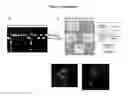 Fig. 06 - Versatile genetic assembly system (VEGAS) to assemble pathways for expression