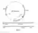 Fig. 02 - engineering bacteria producing 1,5-pentanediamine through whole cell catalysis and application thereof