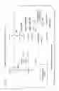 Fig. 04 - Biosynthesis of human milk oligosaccharides in engineered bacteria
