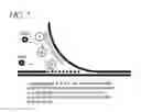Fig. 03 - Methods and devices for single-molecule whole genome analysis