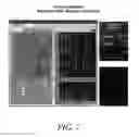 Fig. 08 - Methods and devices for single-molecule whole genome analysis