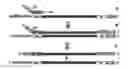 Fig. 01 - Method and use of nucleic acid isothermal amplification via a polymerase spiral reaction