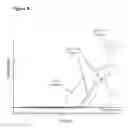 Fig. 13 - Dynamic flux nucleic acid sequence amplification