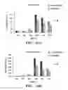 Fig. 27 - DETECTION METHODS FOR DISORDERS OF THE LUNG