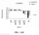 Fig. 29 - DETECTION METHODS FOR DISORDERS OF THE LUNG