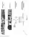 Fig. 02 - HANDHELD NUCLEIC ACID-BASED ASSAY FOR RAPID IDENTIFICATION
