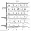 Fig. 02 - SHORT TANDEM REPEAT (STR) DNA FINGERPRINT METHOD AND KIT