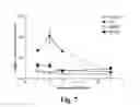 Fig. 09 - Methods and compositions for targeted single-stranded cleavage and targeted integration