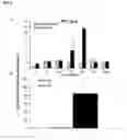 Fig. 06 - A BACILLUS METHYLOTROPHICUS STRAIN AND METHOD OF USING THE STRAIN TO INCREASE DROUGHT RESISTANCE IN A PLANT