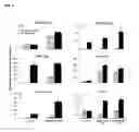 Fig. 08 - A BACILLUS METHYLOTROPHICUS STRAIN AND METHOD OF USING THE STRAIN TO INCREASE DROUGHT RESISTANCE IN A PLANT