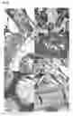 Fig. 09 - A BACILLUS METHYLOTROPHICUS STRAIN AND METHOD OF USING THE STRAIN TO INCREASE DROUGHT RESISTANCE IN A PLANT
