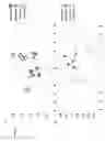 Fig. 22 - A BACILLUS METHYLOTROPHICUS STRAIN AND METHOD OF USING THE STRAIN TO INCREASE DROUGHT RESISTANCE IN A PLANT