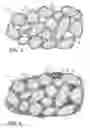 Fig. 05 - Composite pavement structures