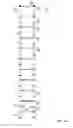 Fig. 07 - Telescopic ladder assembly