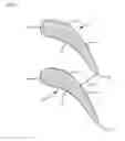 Fig. 02 - REPAIR METHOD FOR TURBINE BLADES