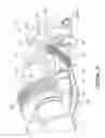 Fig. 07 - Engine assembly with combined engine and cooling exhaust