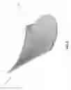 Fig. 04 - BLADE FOR SHROUDED RUNNER AND SHROUDED RUNNER COMPRISING SAID BLADE