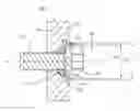 Fig. 01 - High security fastener