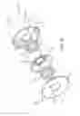 Fig. 09 - TORSIONAL DAMPING DEVICE
