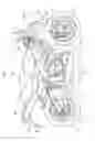 Fig. 02 - Transmission mechanism