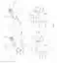 Fig. 16 - Refrigerator