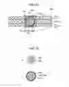 Fig. 12 - Rotation detection device and method of manufacturing rotation detection device