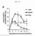 Fig. 07 - Memory invariant NKT cell marker