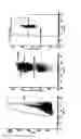 Fig. 02 - METHODS FOR PERSONALIZING PATIENT CANCER THERAPY WITH AN MDM2 ANTAGONIST