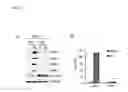 Fig. 03 - COMPOSITIONS AND METHODS FOR IDENTIFYING AND TREATING CONDITIONS INVOLVING HSF1 ACTIVITY