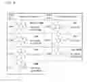 Fig. 16 - COMPOSITIONS AND METHODS FOR IDENTIFYING AND TREATING CONDITIONS INVOLVING HSF1 ACTIVITY