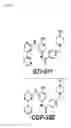 Fig. 21 - COMPOSITIONS AND METHODS FOR IDENTIFYING AND TREATING CONDITIONS INVOLVING HSF1 ACTIVITY