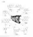 Fig. 42 - COMPOSITIONS AND METHODS FOR IDENTIFYING AND TREATING CONDITIONS INVOLVING HSF1 ACTIVITY