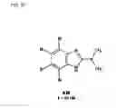 Fig. 44 - COMPOSITIONS AND METHODS FOR IDENTIFYING AND TREATING CONDITIONS INVOLVING HSF1 ACTIVITY