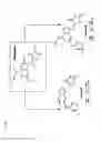Fig. 49 - COMPOSITIONS AND METHODS FOR IDENTIFYING AND TREATING CONDITIONS INVOLVING HSF1 ACTIVITY