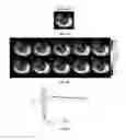 Fig. 09 - Chemical exchange saturation transfer (CEST) imaging of lactate (LATEST)