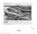 Fig. 08 - Smoothing seismic data