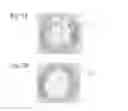Fig. 02 - SHAPED ARTICLE