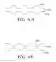 Fig. 06 - Light source and optical article including viscoelastic lightguide disposed on a substrate