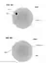 Fig. 06 - Flexible optical fiber array