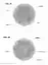 Fig. 07 - Flexible optical fiber array