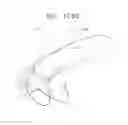 Fig. 243 - BIOLOGICALLY FIT WEARABLE ELECTRONICS APPARATUS