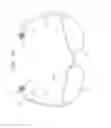 Fig. 48 - BIOLOGICALLY FIT WEARABLE ELECTRONICS APPARATUS