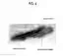 Fig. 08 - Brilliant toner, electrostatic charge image developer, and toner cartridge