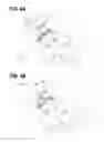 Fig. 08 - Developing device and image forming apparatus with a magnetically charged collection member