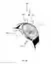 Fig. 06 - TIME-KEEPING DEVICES INCLUDING INDICATIONS BY MAGNETIC PARTICLES IN SUSPENSION IN LIQUID FILLED CHAMBERS