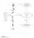 Fig. 02 - Decision tree ensemble compilation