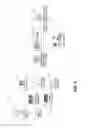 Fig. 02 - Obtaining data from incomplete electronic forms